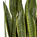 60185