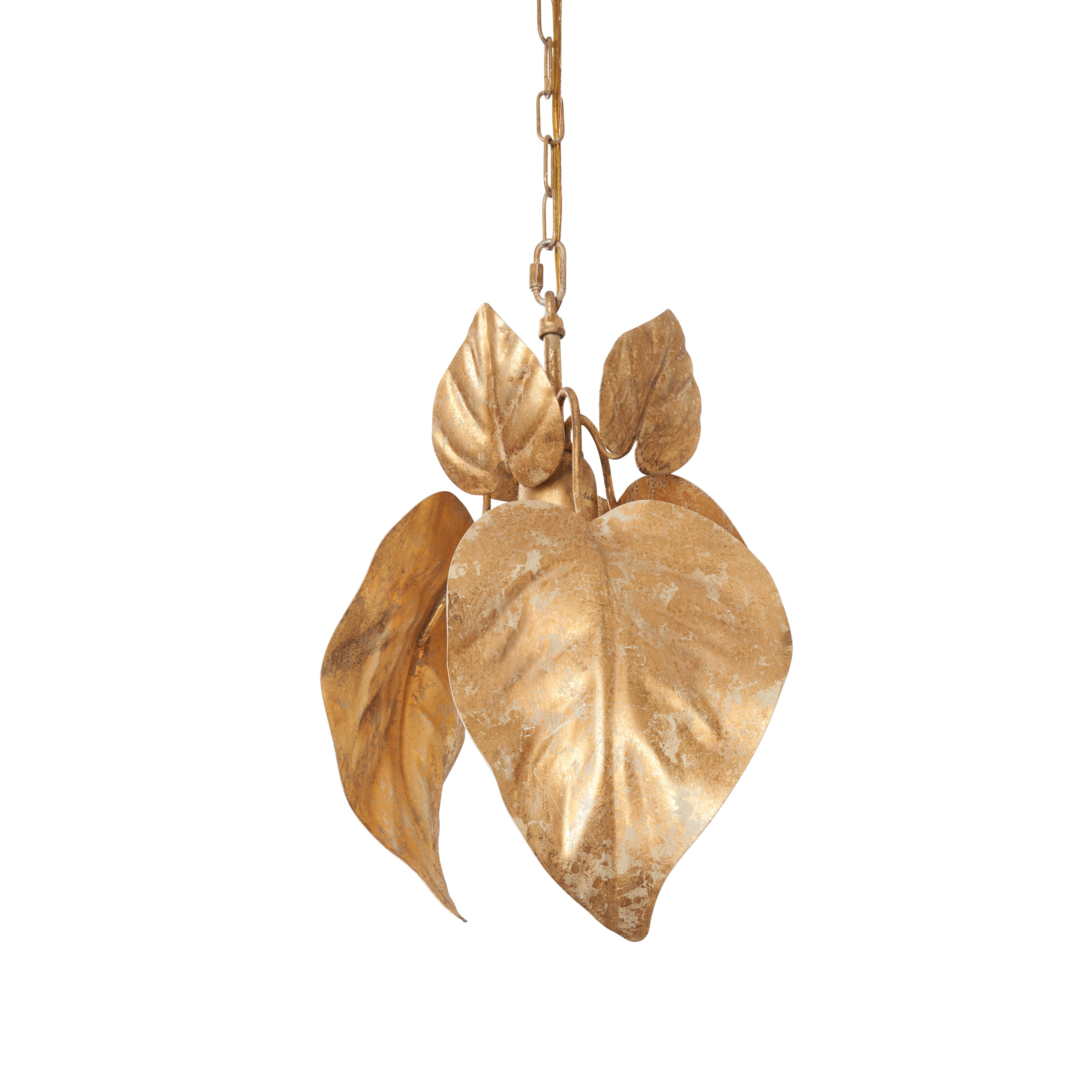 C10531